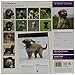 Cockapoo 2015 Wall Calendar