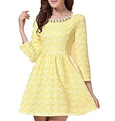 Short Spring Lace  Dress
