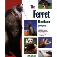 The Ferret Handbook (Pet Handbooks)