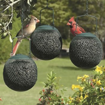 Green Seed Ball Set Of 3