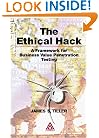 The Ethical Hack: A Framework for Business Value Penetration Testing