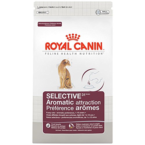ROYAL CANIN FELINE HEALTH NUTRITION Selective 31 Aromatic Attraction dry cat food, 6-Pound