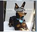 The Miniature Pinscher Aficionado Breeder Interview Series, Vol. 1
