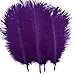 Shekyeon Purple 10-12inch 25-30cm Ostrich Feather Home Decoration DIY Craft Pack of 10