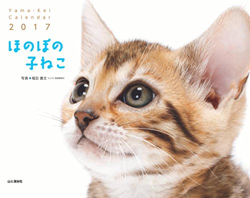 カレンダー2017 ほのぼの子ねこ (ヤマケイカレンダー2017) カレンダー2017 ほのぼの子ねこ (ヤマケイカレンダー2017)