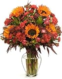 Fall Radiance