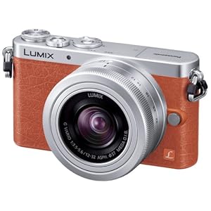 Panasonic �ǥ������㥫��� ��ߥå��� GM1 DMC-GM1K