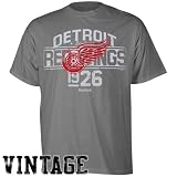 Reebok Detroit Red Wings Ash Stripe Overlay Vintage T-shirt
