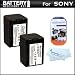 2 Pack Battery Kit For Sony