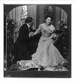 Historic Print (L): The proposal