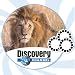 Fisher Price Learning 3D Reels with sounds: Exploring Africa