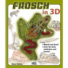 Frosch in 3D: Mit integriertem Kunststoff-Skelett
