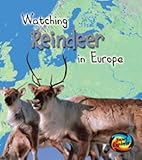 Watching reindeer in Europe