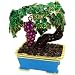Objet D'Art Release #374 "Bonsai Bordeaux" Miniature Grape Vine Handmade Jeweled Enameled Metal Trinket Box Objet D'Art Release #374 "Bonsai Bordeaux" Miniature Grape Vine Handmade Jeweled Enameled Metal Trinket Box
