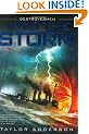Into the Storm (Destroyermen)
