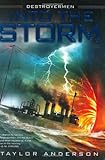 Into the Storm