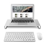 LOE(ロエ) 液晶モニター デスクスタンド アルミニウム製 (TV, PCモニター, ノートPC, ,iMac向け) (シルバー)