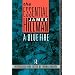 The Essential James Hillman: A Blue Fire