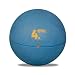 World Sport 4 Kilo (8.8lb) Reactive (Bounce) Medicine Ball