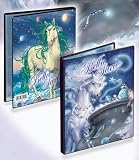 The Best of Bella Sara Collector Album