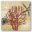 Coral Impressions III by Tandi Venter 15"x15" Art Print Poster