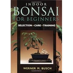 INDOOR BONSAI FOR BEGINNERS: SELECTION, CARE, TRAINING