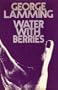 Water with Berries