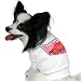 Arkansas Razorbacks White Dog T-shirt