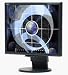 Electronics : LCD1770VX-BK Black 17' LCD Monitor