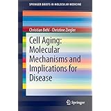cell aging molecular mechanisms and implications for disease springerbriefs in molecular medicine
