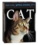 Cat Page-A-Day Gallery Calendar 2011