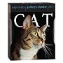 CAT GALLERY PAGE-A-DAY CALENDAR 2011