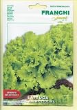 LETTUCE BIONDA RICCIOLINA