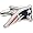New England Patriots