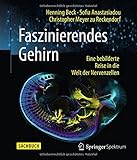 Image de Faszinierendes Gehirn: Eine bebilderte Reise in die Welt der Nervenzellen