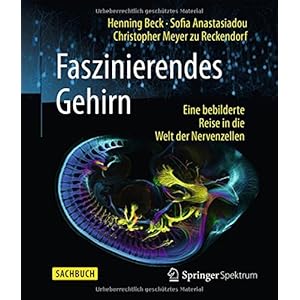 Faszinierendes Gehirn: Eine bebilderte Reise in die Welt der Nervenzellen