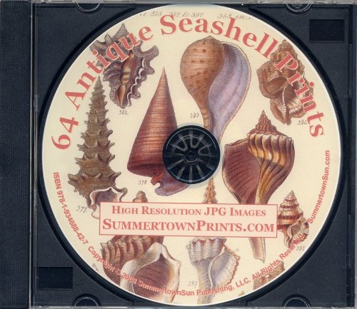Antique Seashell Prints on CD: 64 High-Resolution Digital Plates for Prints