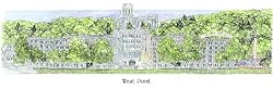 West Point Military Academy "Army" - Collegiate Sculptured Ornament