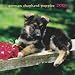 German Shepherd Puppies 2009 7X7 Mini Wall Calendar