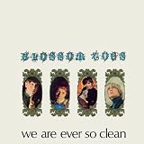 We Are Ever So Clean [VINYL]