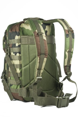 Camouflage Militaire Armée Sac à dos US assault pack 50L MOLLE Central Europe (CE)