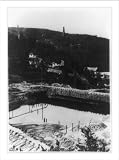 Historic Print (S): A Lake of gold! Not exactly, but of oil, which to-day is almost the same in value. Ameri