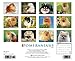 Just Pomeranians 2015 Wall Calendar (Just (Willow Creek))