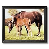 Horse Mare Colt Filly Kids Room Animal Home Decor Wall Picture Black Framed Art Print