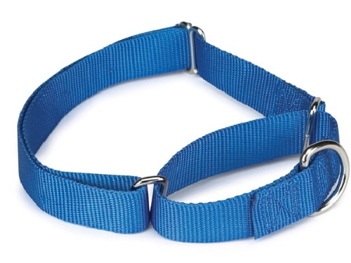Guardian Gear Blue All Nylon Greyhound Martingale Safety Choke Choker Dog Collar 14
