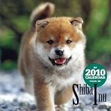 柴犬 2010[カレンダー]