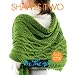 Shawls Two (Vogue Knitting: On the Go!)