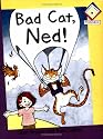 Bad Cat, Ned! (Reading Corner Phonics - Level 2)