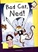 Bad Cat, Ned! (Reading Corner Phonics - Level 2)
