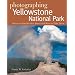 Photographing Yellowstone National Park: Where to Find Perfect Shots and How to Take Them (The Photographer's Guide)